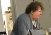 No Pomegranates Professor: Teacher rants, yells about fruit