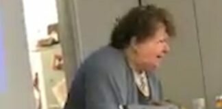 No Pomegranates Professor: Teacher rants, yells about fruit