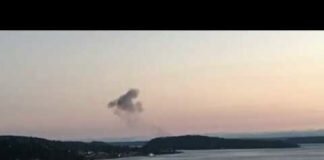 An Airline Employee Stole A Plane From Seattle Airport And Was Chased By Fighter Jets Before Crashing